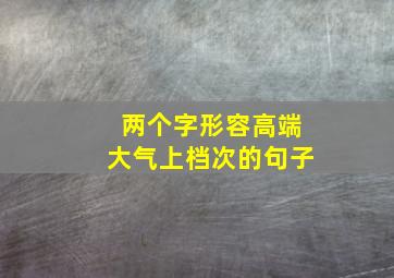 两个字形容高端大气上档次的句子