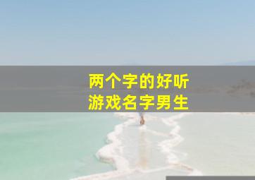 两个字的好听游戏名字男生