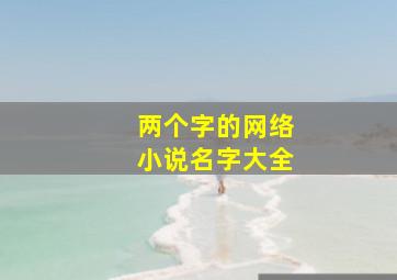 两个字的网络小说名字大全