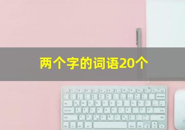 两个字的词语20个