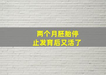 两个月胚胎停止发育后又活了