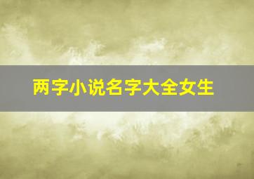 两字小说名字大全女生