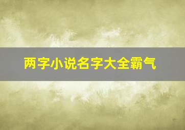 两字小说名字大全霸气