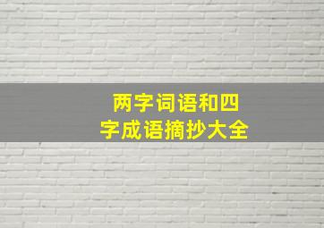 两字词语和四字成语摘抄大全