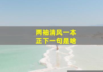 两袖清风一本正下一句是啥