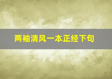 两袖清风一本正经下句