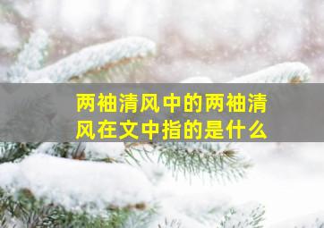 两袖清风中的两袖清风在文中指的是什么