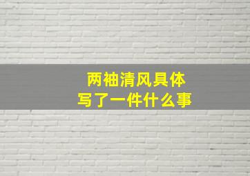 两袖清风具体写了一件什么事