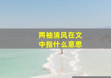 两袖清风在文中指什么意思