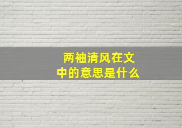 两袖清风在文中的意思是什么