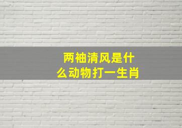 两袖清风是什么动物打一生肖