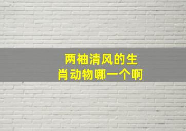 两袖清风的生肖动物哪一个啊