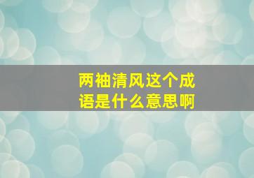 两袖清风这个成语是什么意思啊