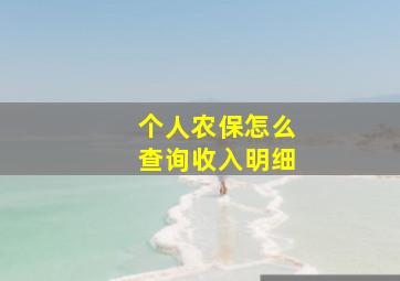 个人农保怎么查询收入明细