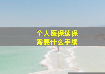 个人医保续保需要什么手续