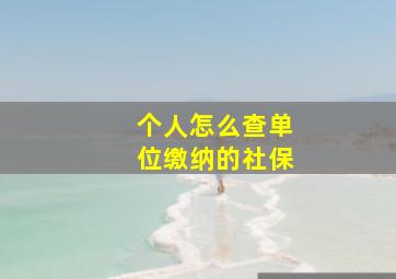 个人怎么查单位缴纳的社保