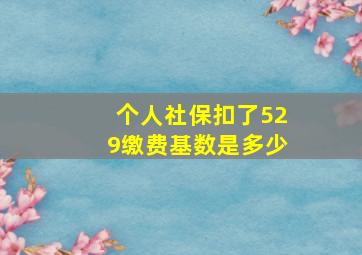 个人社保扣了529缴费基数是多少