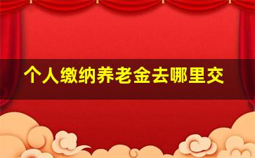 个人缴纳养老金去哪里交