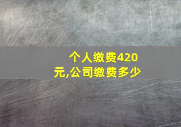 个人缴费420元,公司缴费多少