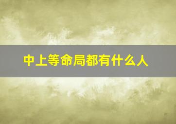 中上等命局都有什么人