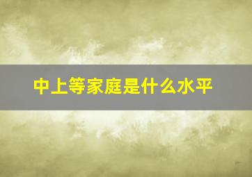 中上等家庭是什么水平