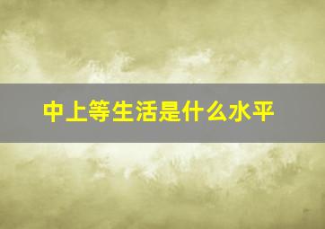 中上等生活是什么水平