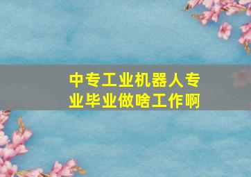 中专工业机器人专业毕业做啥工作啊