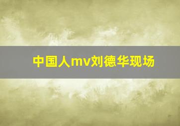 中国人mv刘德华现场