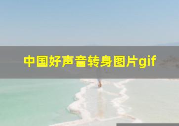 中国好声音转身图片gif