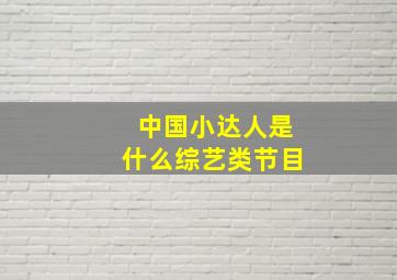 中国小达人是什么综艺类节目