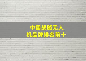 中国战略无人机品牌排名前十