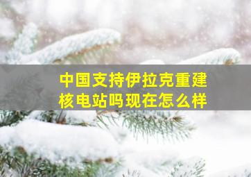 中国支持伊拉克重建核电站吗现在怎么样