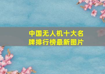 中国无人机十大名牌排行榜最新图片