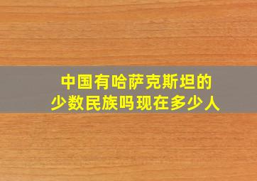 中国有哈萨克斯坦的少数民族吗现在多少人