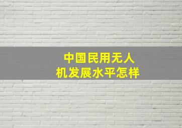 中国民用无人机发展水平怎样