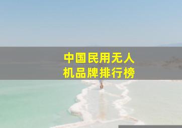 中国民用无人机品牌排行榜