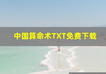 中国算命术TXT免费下载