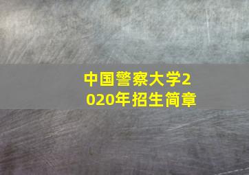 中国警察大学2020年招生简章