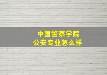 中国警察学院公安专业怎么样