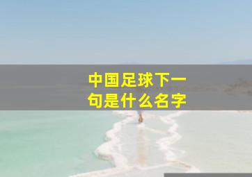 中国足球下一句是什么名字