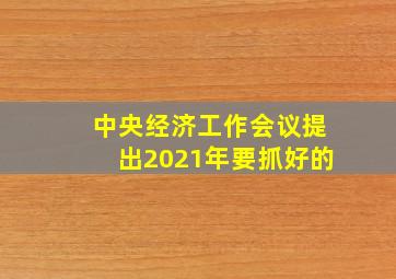 中央经济工作会议提出2021年要抓好的