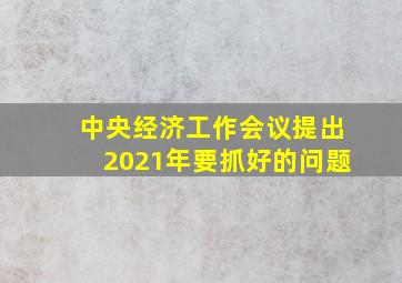 中央经济工作会议提出2021年要抓好的问题