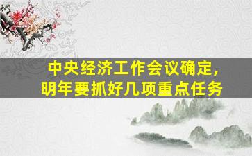 中央经济工作会议确定,明年要抓好几项重点任务