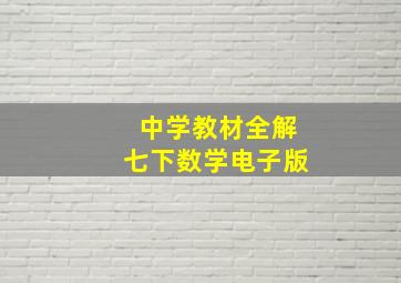 中学教材全解七下数学电子版