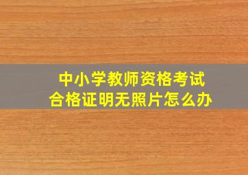 中小学教师资格考试合格证明无照片怎么办