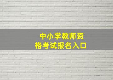 中小学教师资格考试报名入口