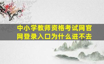 中小学教师资格考试网官网登录入口为什么进不去