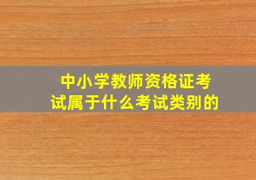 中小学教师资格证考试属于什么考试类别的