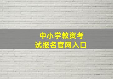 中小学教资考试报名官网入口