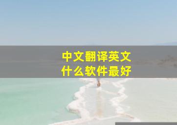 中文翻译英文什么软件最好